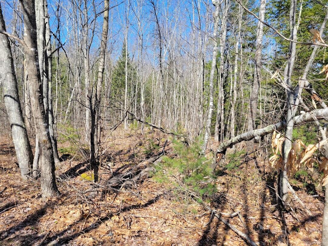 0 Norton Ridge Road Shapleigh, ME 04076 - Photo 9 of 10 20220402_151721