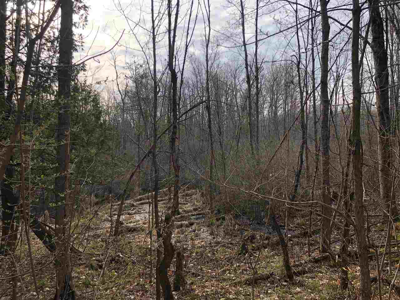 40-acres East Cranberry Lake Road Harrison, MI 48625 - Photo 16 of 21
