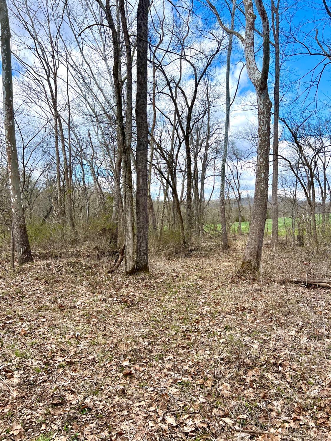 747 Cummings Road West Union, OH 45693 - Photo 7 of 99 Gallery Image 7