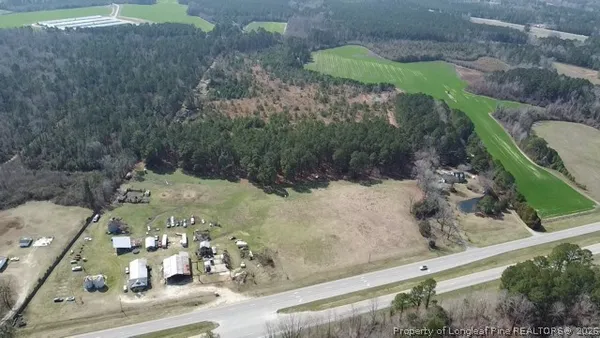 a green field with lots of trees