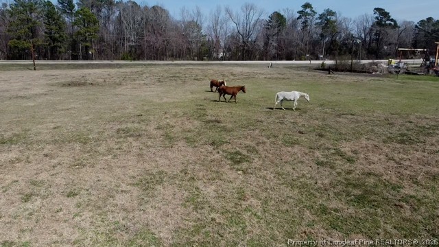 13441 Highway 87 Tar Heel, NC 28392 - Photo 11 of 12