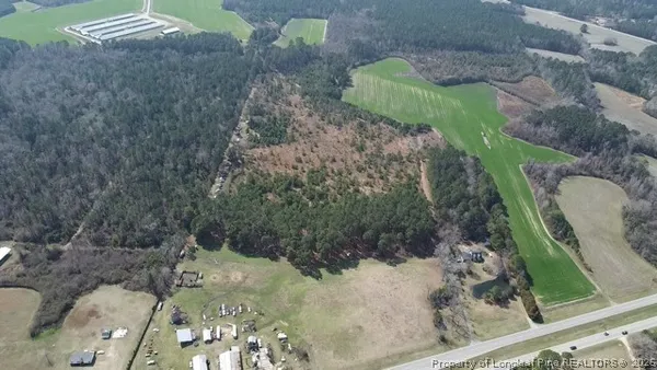 a green field with lots of tress in it