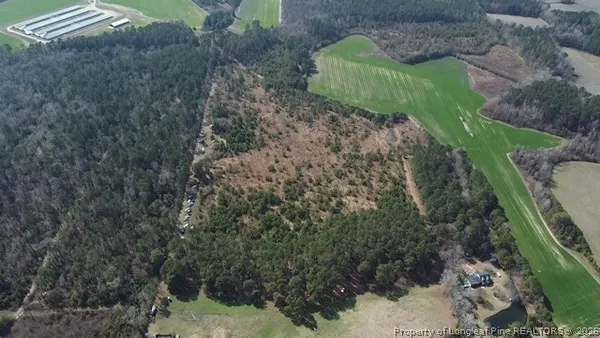a green field with lots of trees in the background