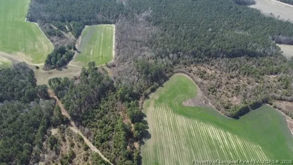 a view of a garden with a lake view