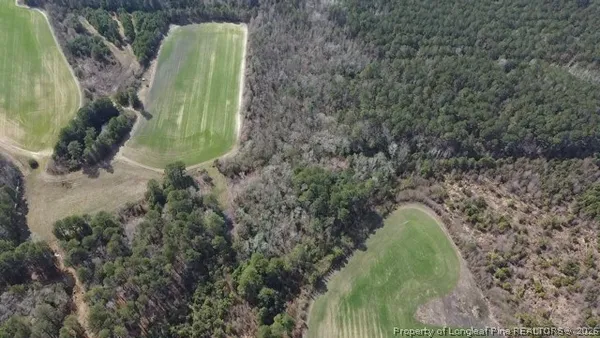 a view of a garden with a yard