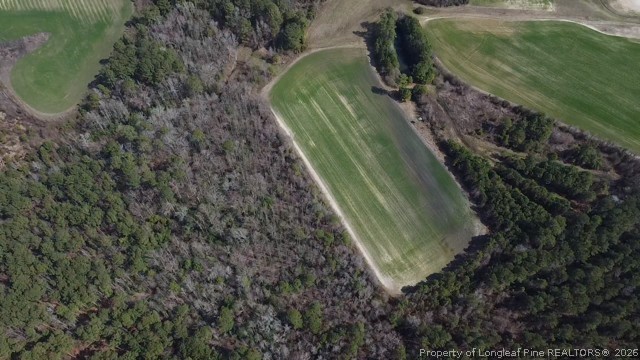 13441 Highway 87 Tar Heel, NC 28392 - Photo 7 of 12