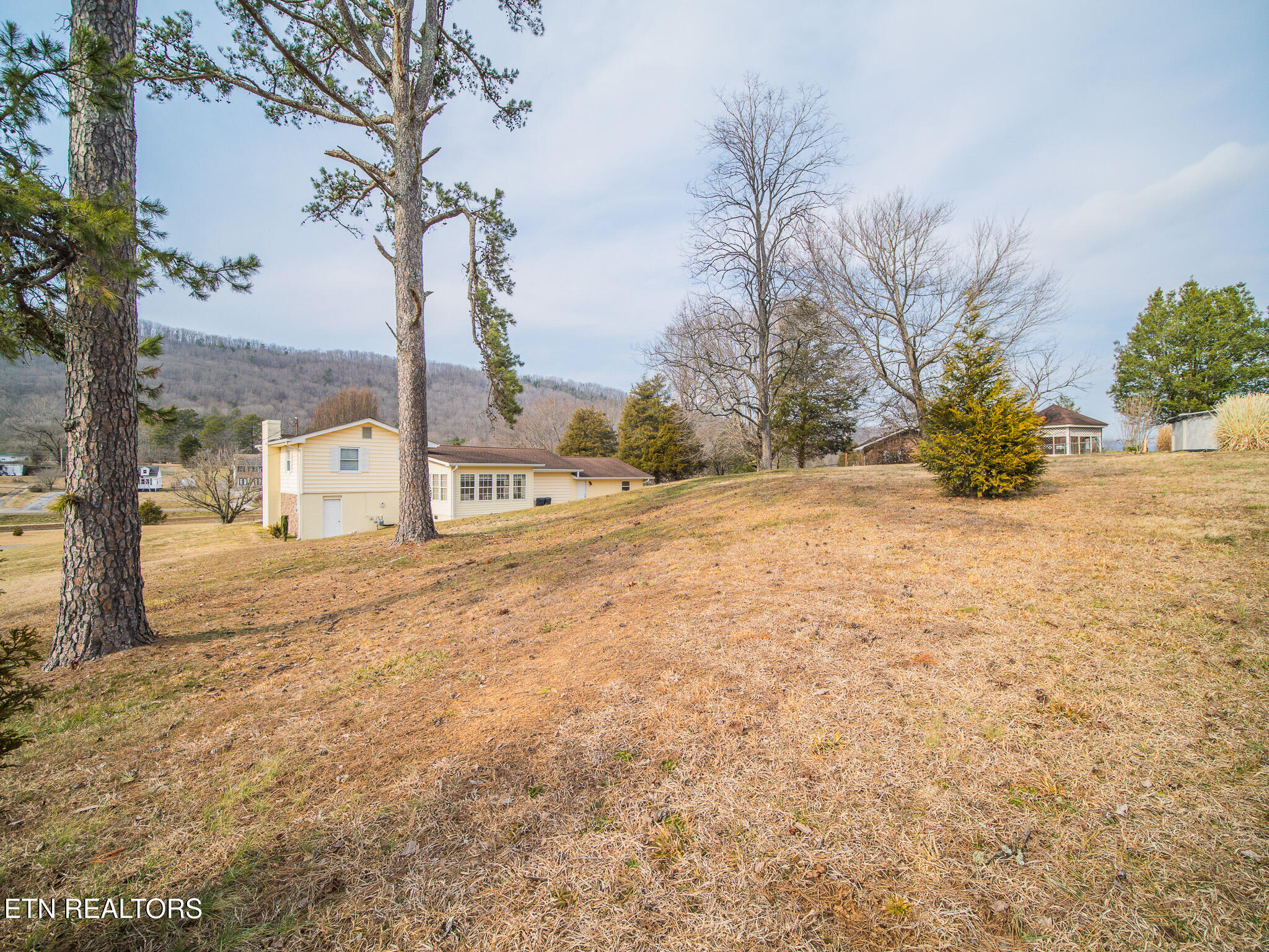 143 Shady Road Oliver Springs, TN 37840 - Photo 46 of 57 Back Yard