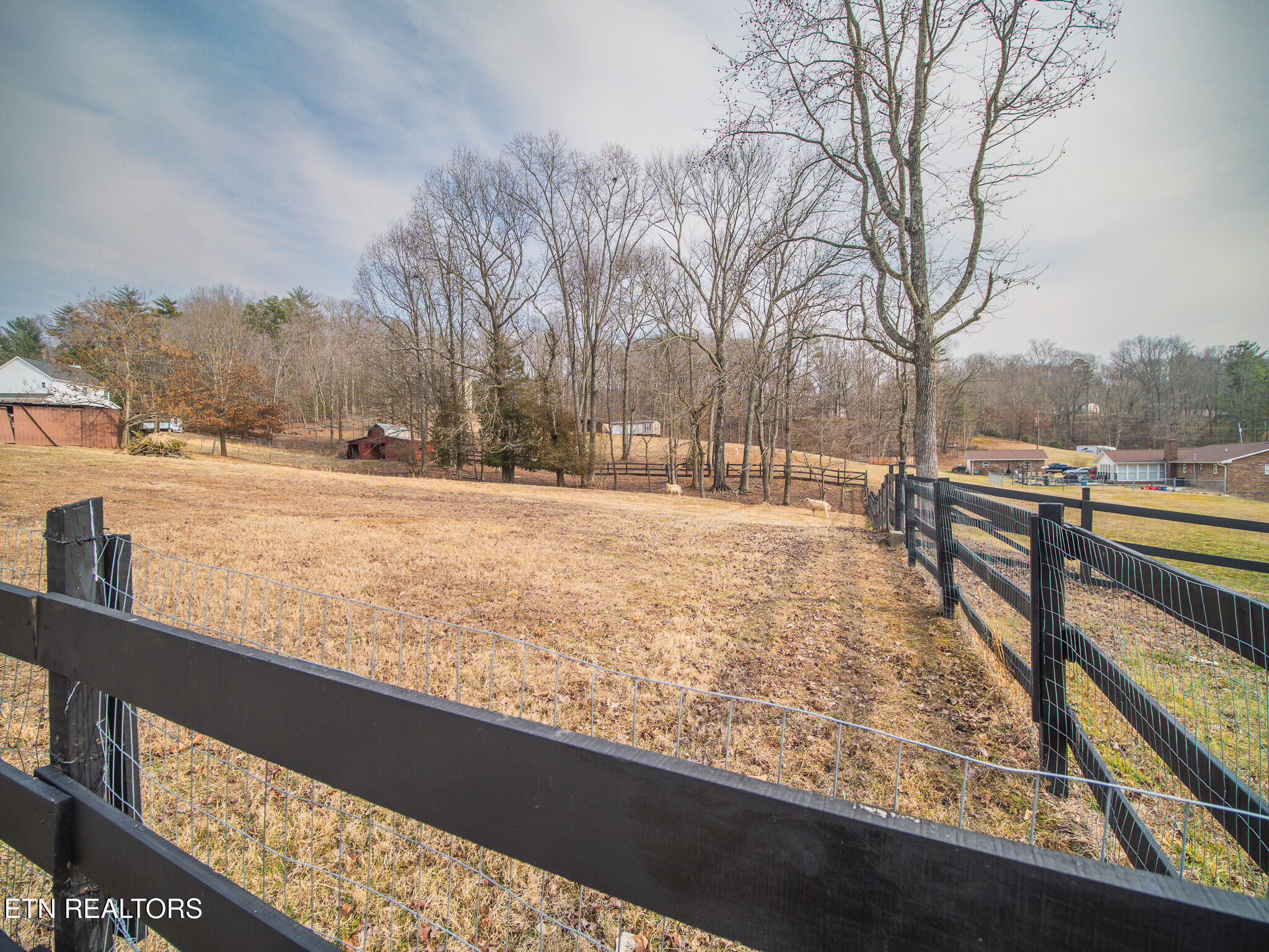 143 Shady Road Oliver Springs, TN 37840 - Photo 49 of 57 Acreage