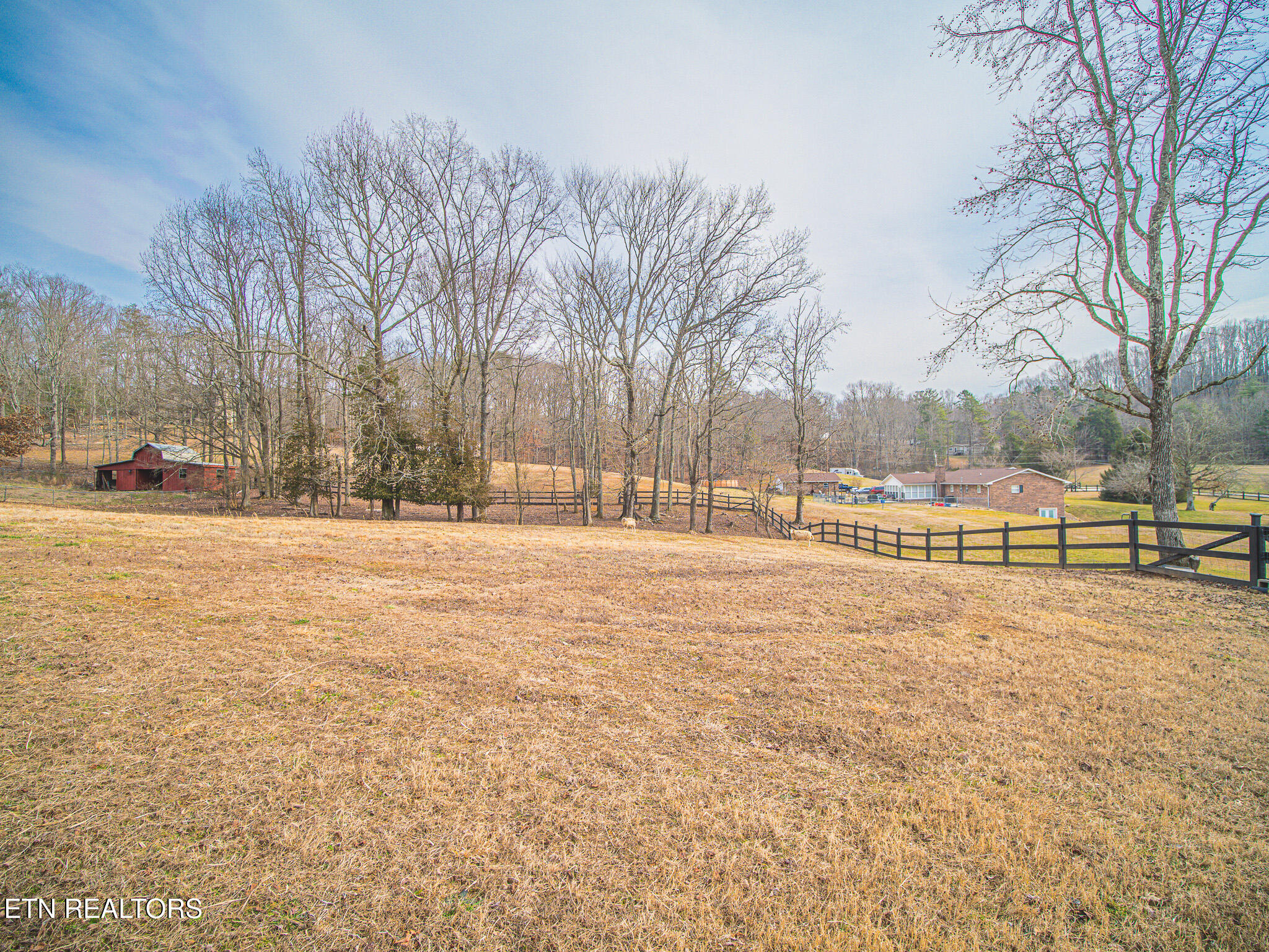 143 Shady Road Oliver Springs, TN 37840 - Photo 50 of 57 Acreage