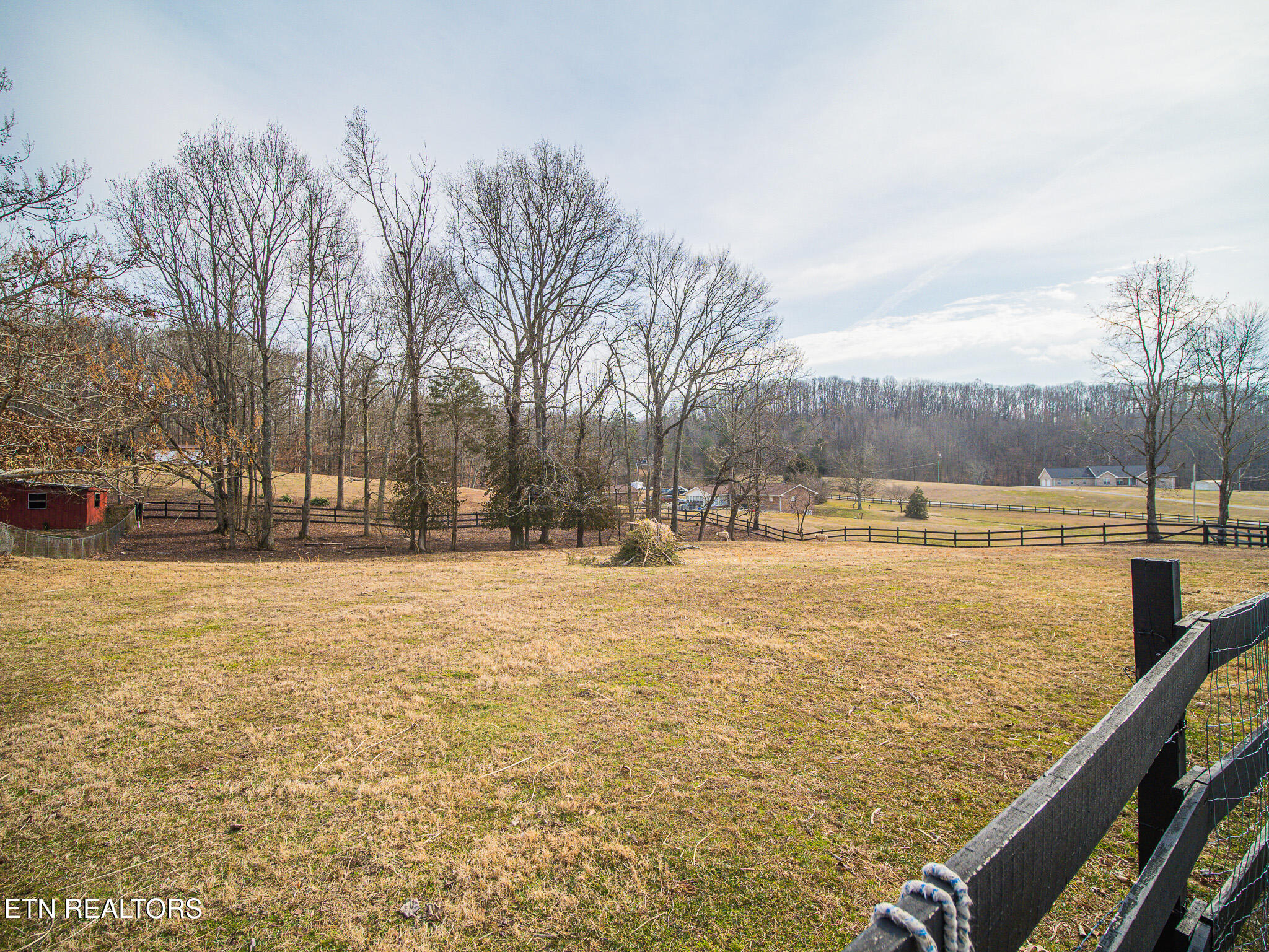 143 Shady Road Oliver Springs, TN 37840 - Photo 51 of 57 Acreage