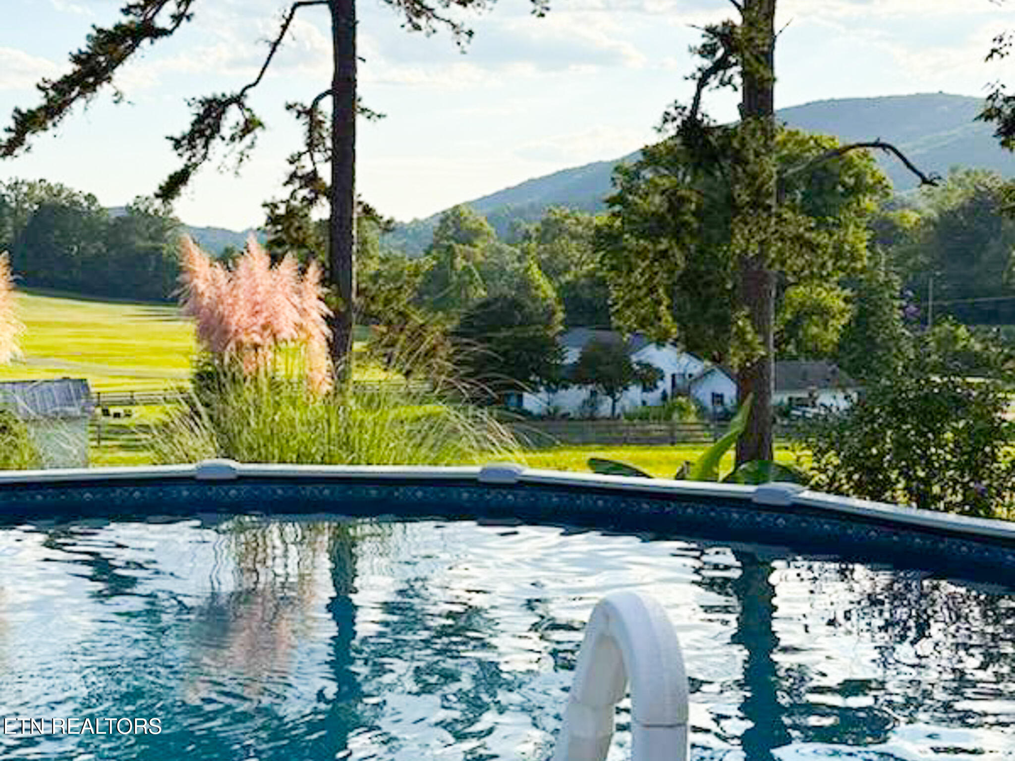 143 Shady Road Oliver Springs, TN 37840 - Photo 56 of 57 Pool