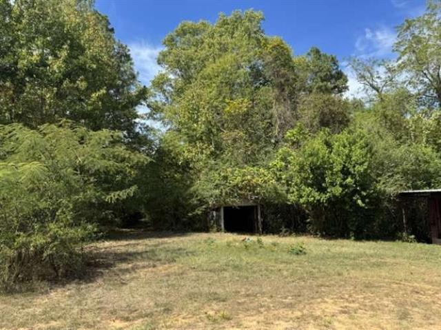 1445 Maritzky Road Homer, LA 71040 - Photo 4 of 21 Gallery Image 4