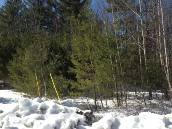 Lot 14 Eagle Nest Road Warren, NH 03279 - Photo 3 of 5 Gallery Image 3
