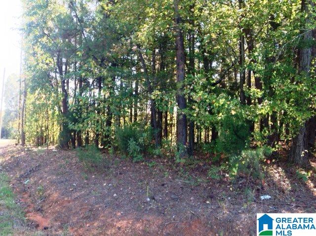 0 Whispering Pines Road, Unit 1 AMD 2 Oxford, AL 36203 - Photo 4 of 30