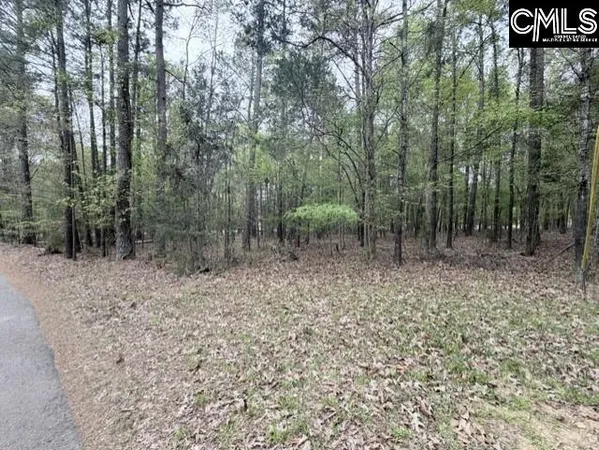 $139,500 | 0 Kennerly Road, Irmo, SC 29063