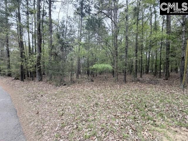 0 Kennerly Road Irmo, SC 29063 - Photo 1 of 6