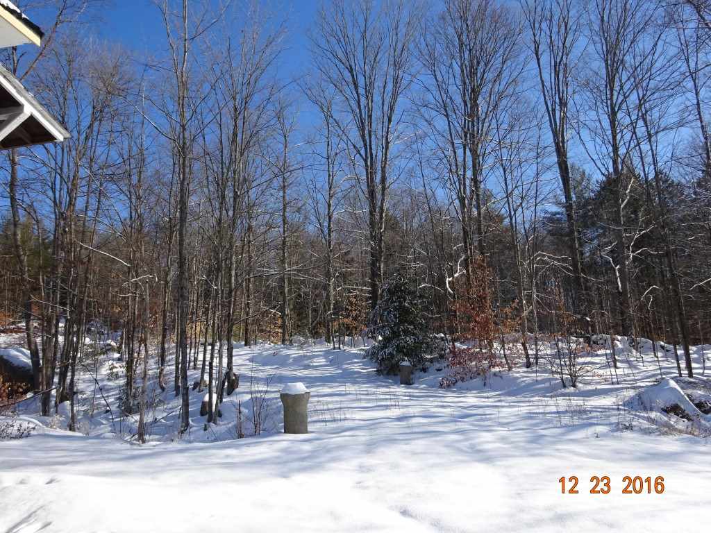 19 Broad Brook Road Winchester, NH 03441 - Photo 15 of 15 Gallery Image 15