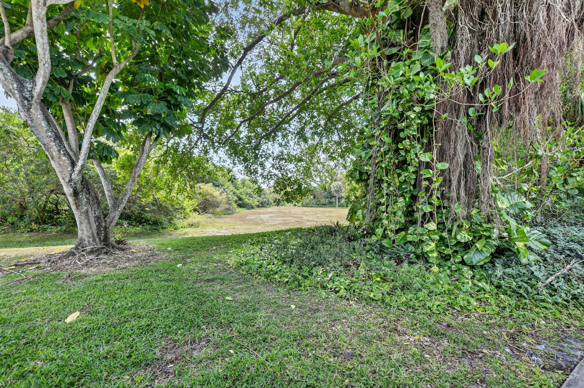22958 Oxford Place, Unit D Boca Raton, FL 33433 - Photo 42 of 54 35-web-or-mls-DSC_6108