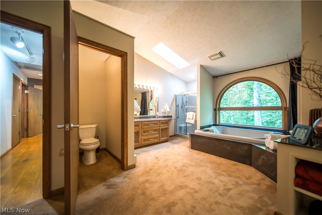 5119 Hattrick Road Ravenna, OH 44266 - Photo 16 of 33 Bathroom featuring a tub, hardwood / wood-style floors, vaulted ceiling with skylight, vanity, and toilet