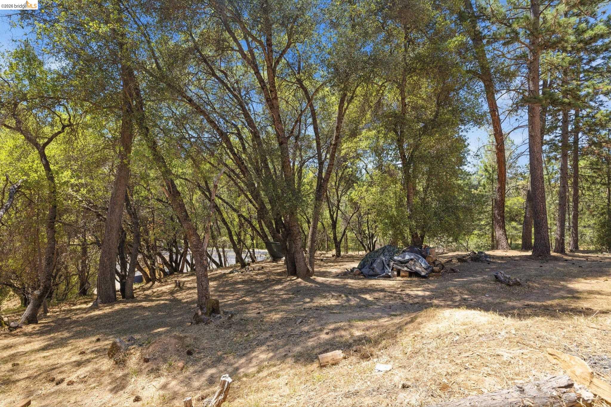 19059 Raboul Court Groveland, CA 95321 - Photo 20 of 21 Wooded property featuring a mix of mature deciduous and coniferous trees