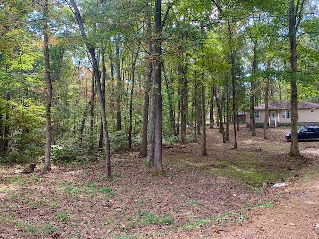 949 Woodhaven Road Lyles, TN 37098 - Photo 29 of 39 Gallery Image 29