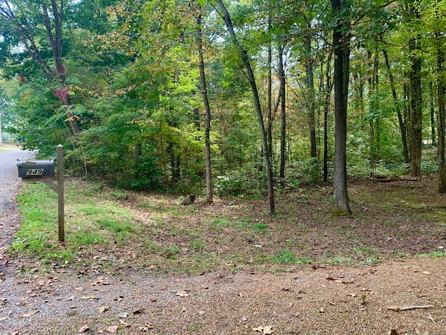 949 Woodhaven Road Lyles, TN 37098 - Photo 39 of 39 Gallery Image 39