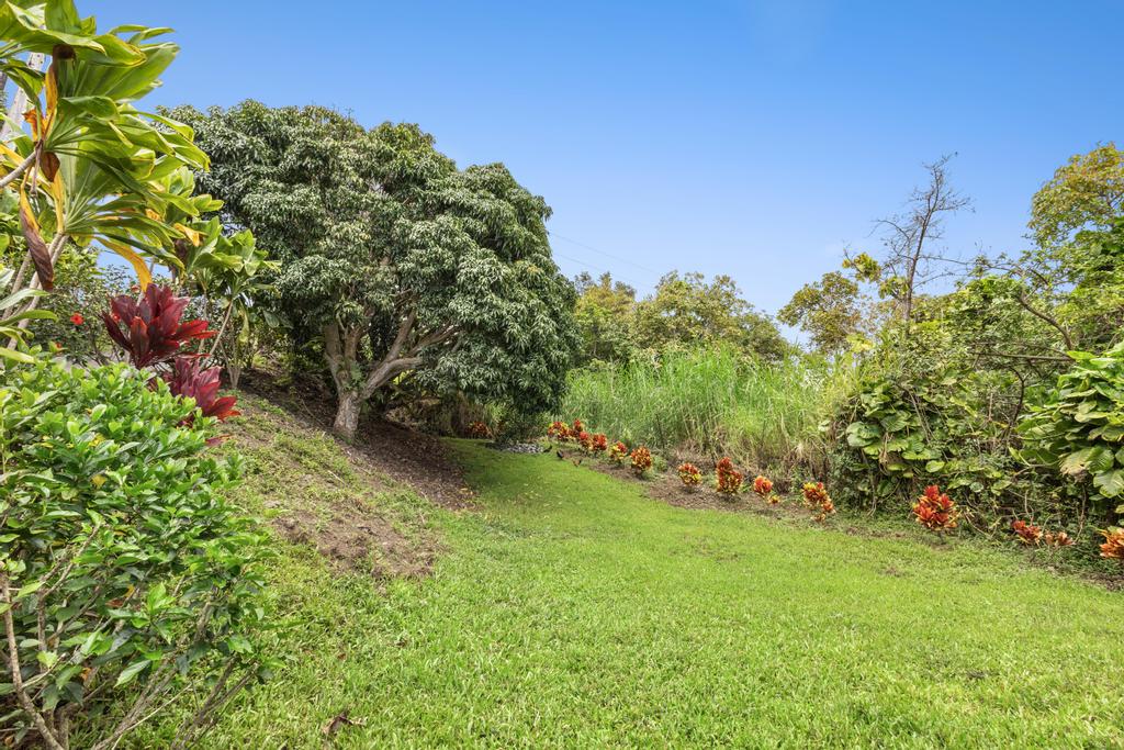 87-2707 Hawaii Belt Road Captain Cook, HI 96704 - Photo 8 of 30 a view of a yard with plants and large trees