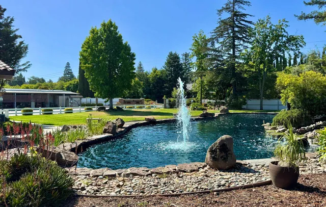 a view of a swimming pool with lawn chairs and plants
