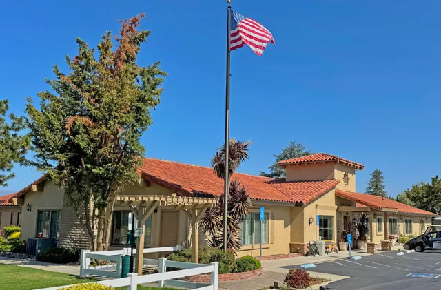 a view of a building with a tree in front