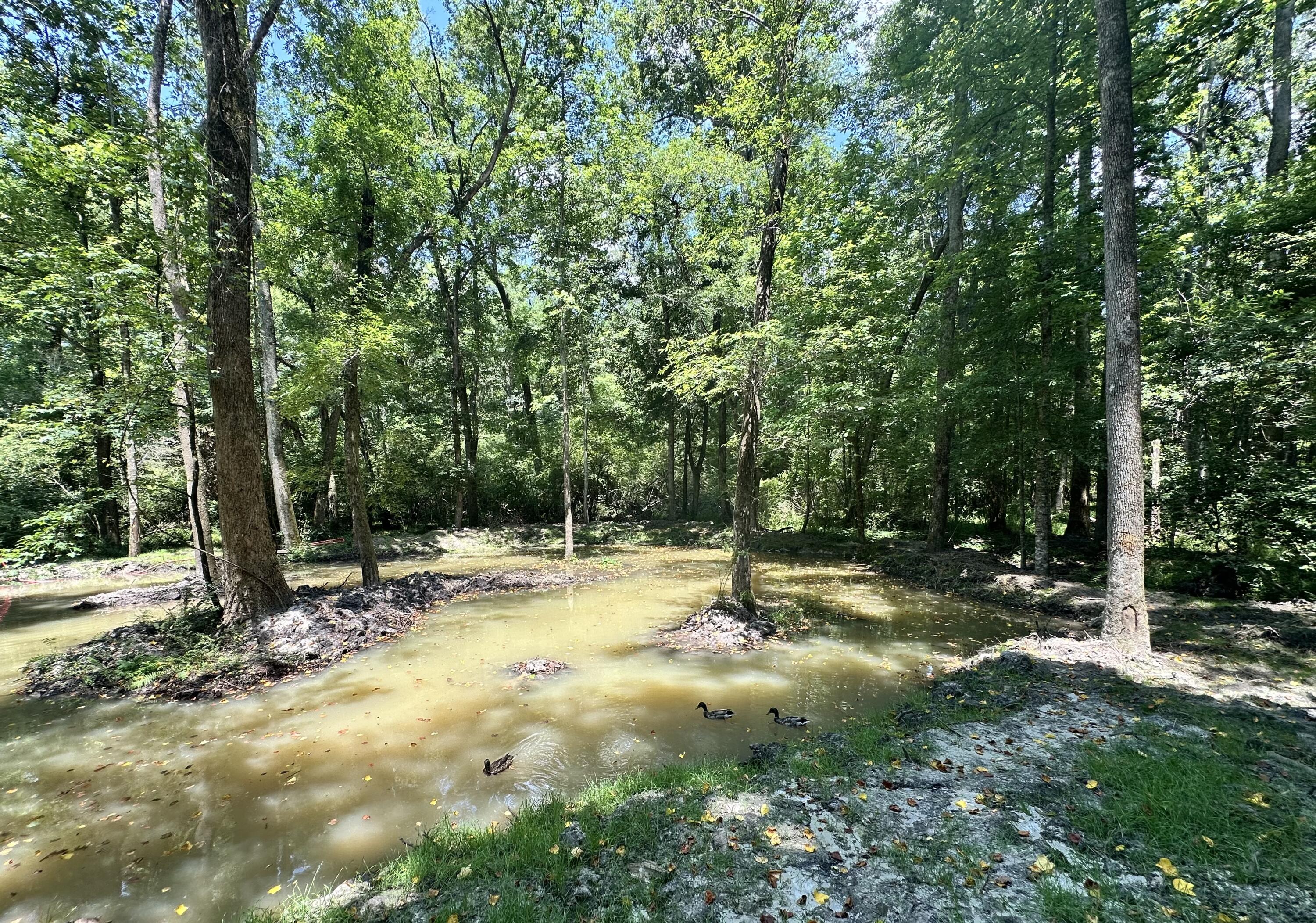 110 Poplar Grove Road Cope, SC 29038 - Photo 33 of 37