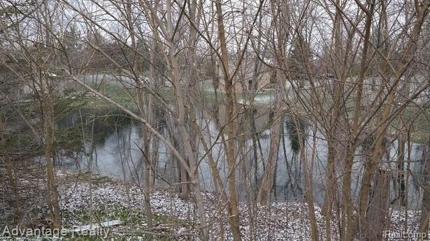 8560 Waumegah Road Clarkston, MI 48348 - Photo 26 of 30 SAM_3110.jpg