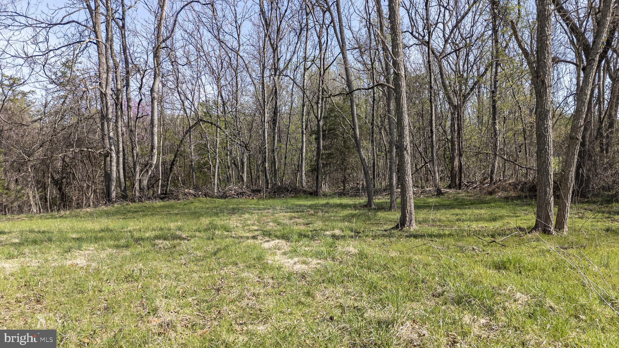 Goggin Ford Road Bedford, VA 24523 - Photo 11 of 20 Open