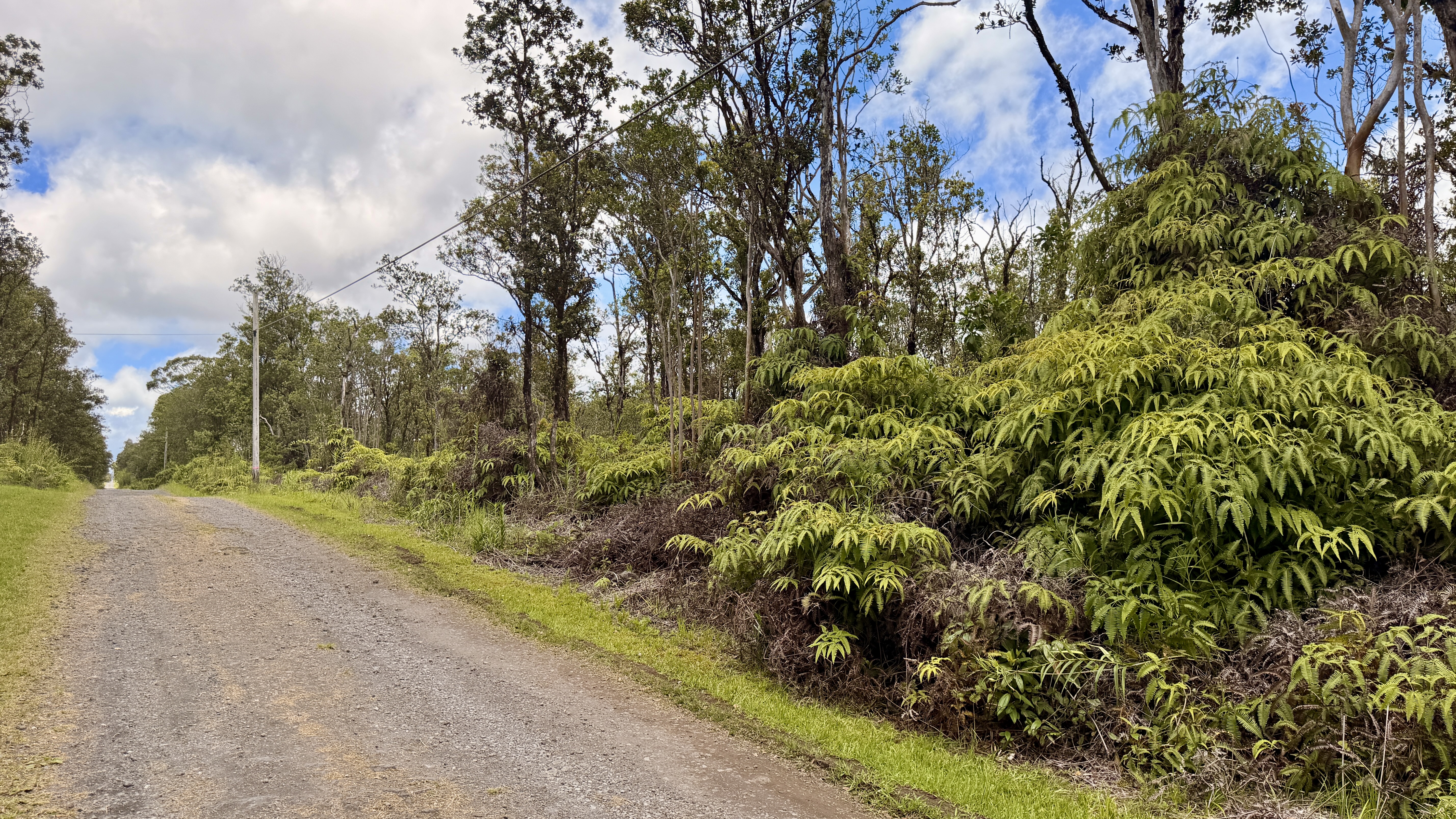 48 Kokokahi Road Mountain View, HI 96771 - Photo 4 of 9 Gallery Image 4