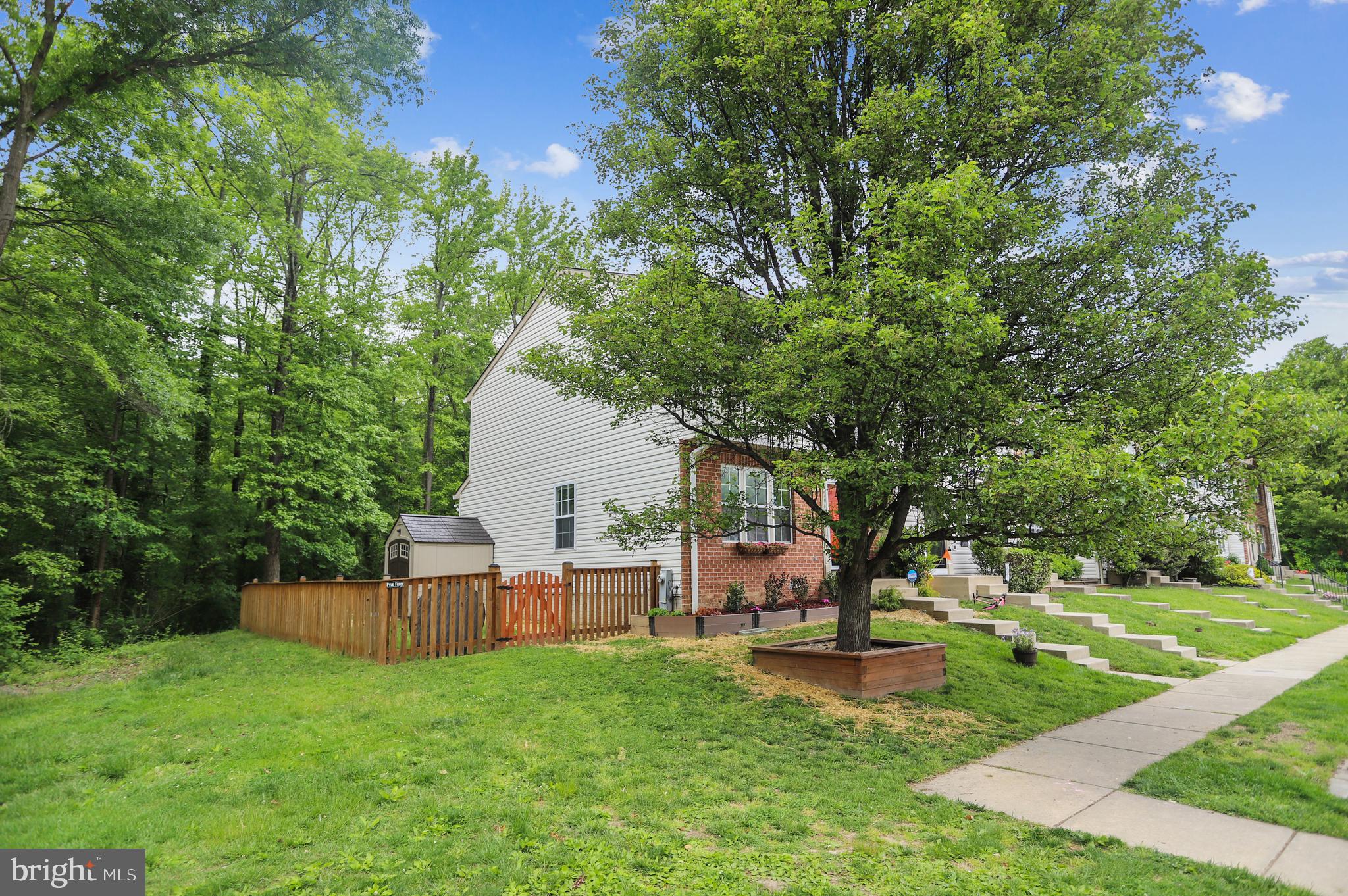 2062 Paperbark Road Baltimore, MD 21221 - Photo 3 of 34 Large side yard