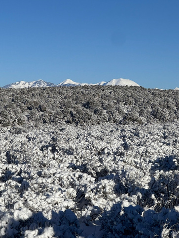 389 North Old Summit Road, Unit 19 Monticello, UT 84535 - Photo 6 of 19 View of La Sal mountains