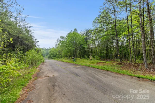 a view of a yard with plants and trees