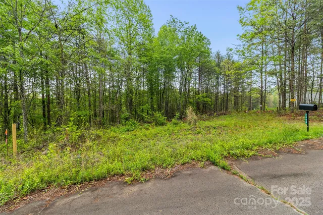 a backyard of a house with trees and wooden fence