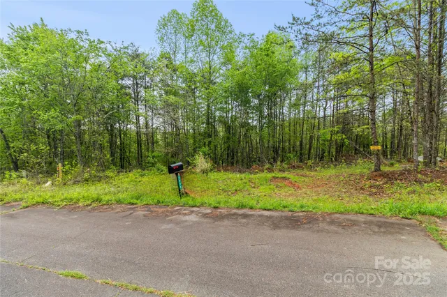 a view of backyard and entertaining space
