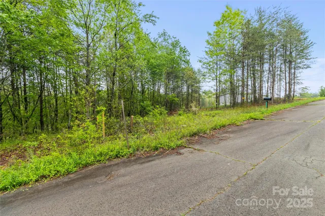 a view of street and electric trees