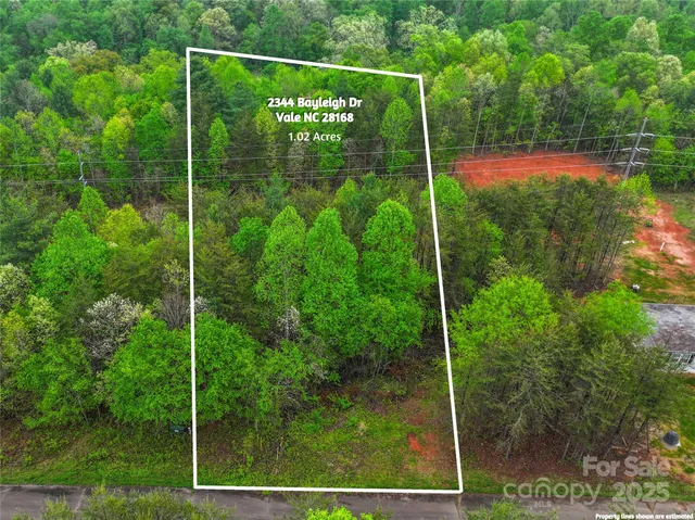 a view of yard with green space