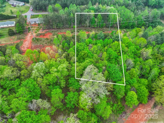 a view of a backyard with potted plants