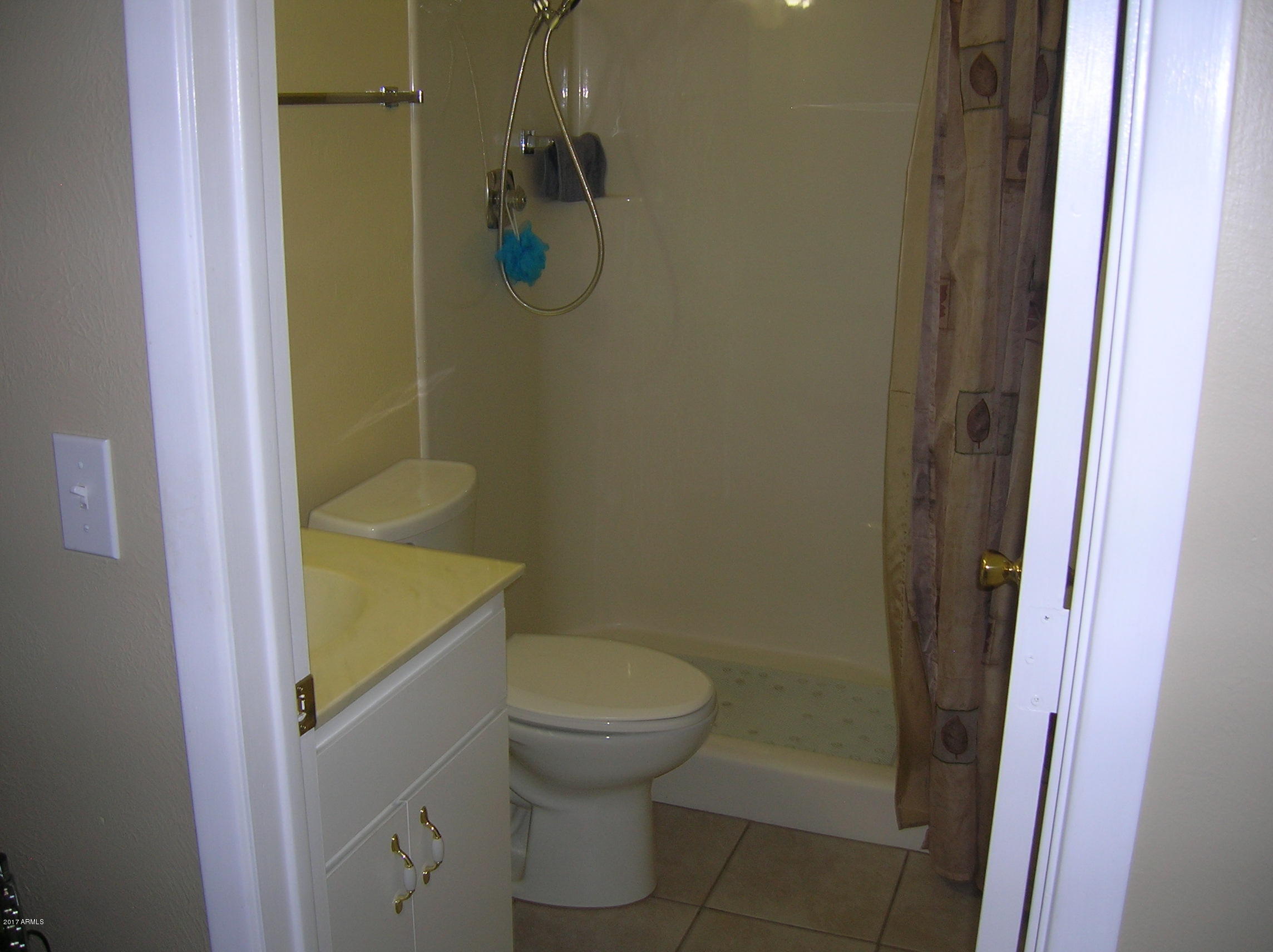 6108 East Decatur Street Mesa, AZ 85205 - Photo 12 of 14 DSCN1716