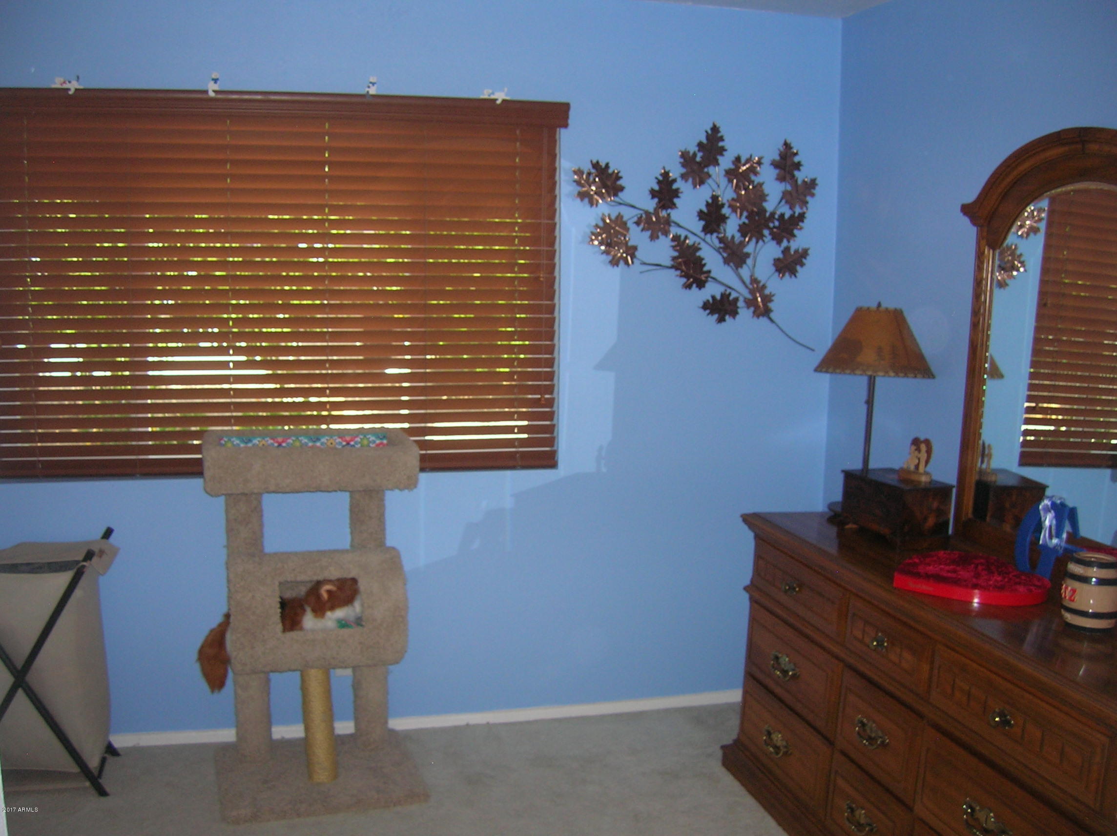 6108 East Decatur Street Mesa, AZ 85205 - Photo 9 of 14 DSCN1718