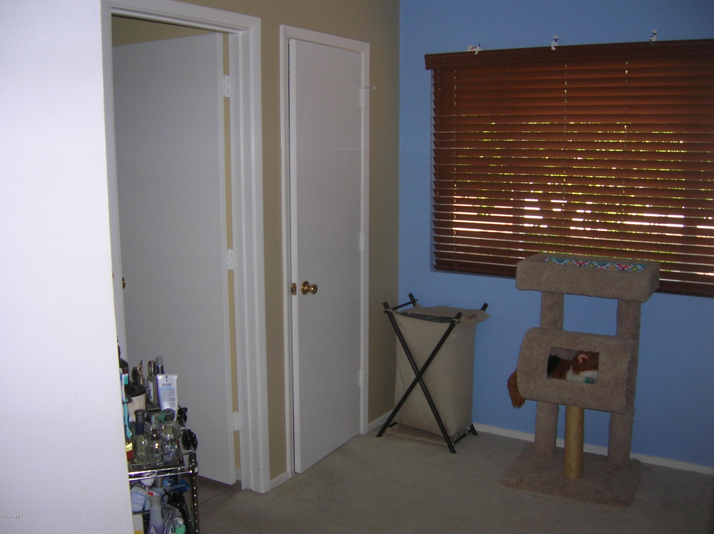 6108 East Decatur Street Mesa, AZ 85205 - Photo 10 of 14 DSCN1719
