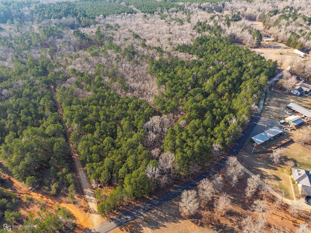 0 Clement Road Benton, LA 71006 - Photo 6 of 7