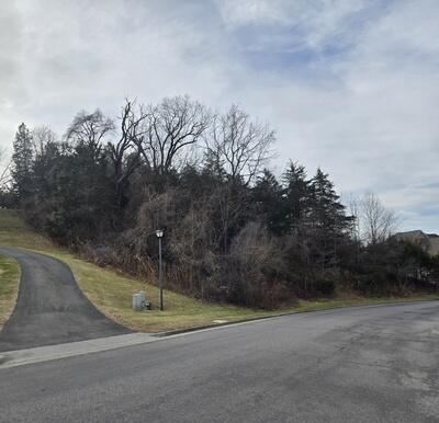 Lot 7 Frontier Way Fincastle, VA 24090 - Photo 1 of 2 a view of a basketball court