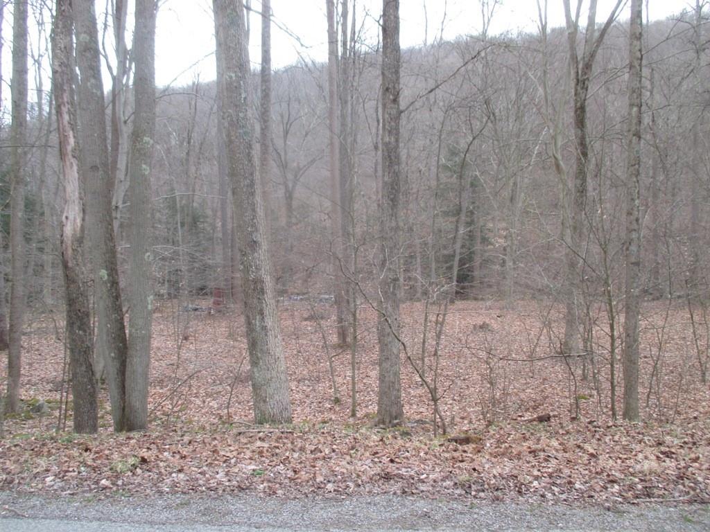 0 Four Mile Run Road Ligonier, PA 15658 - Photo 1 of 11 Gallery Image 1