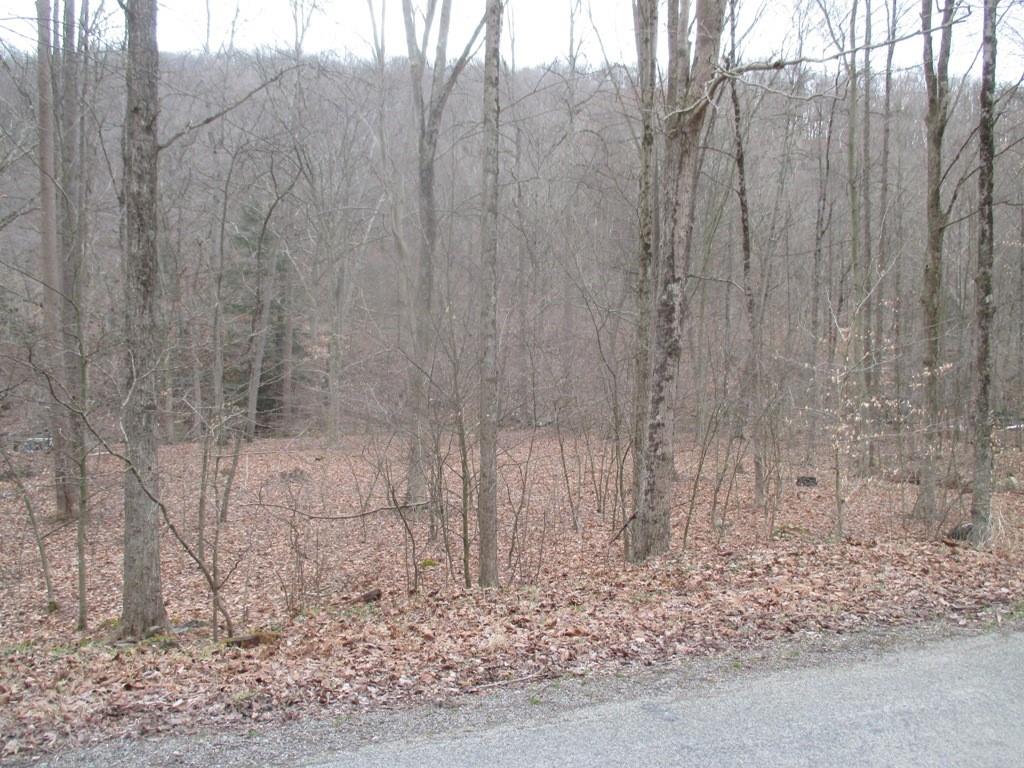 0 Four Mile Run Road Ligonier, PA 15658 - Photo 3 of 11 Gallery Image 3