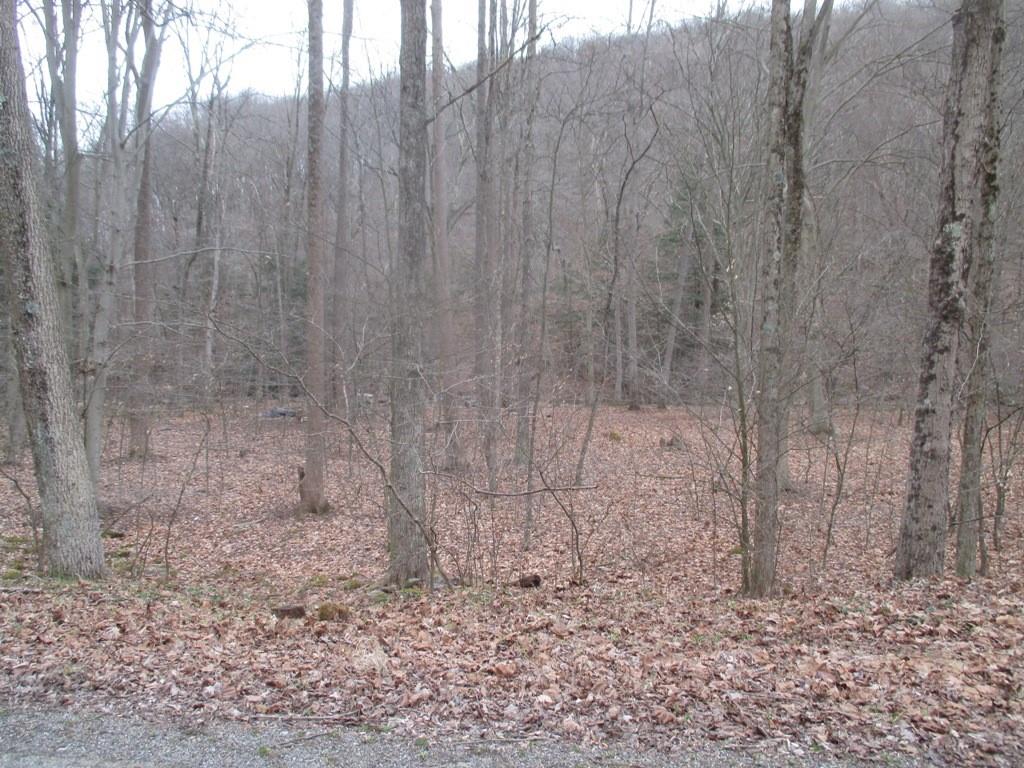 0 Four Mile Run Road Ligonier, PA 15658 - Photo 4 of 11 Gallery Image 4