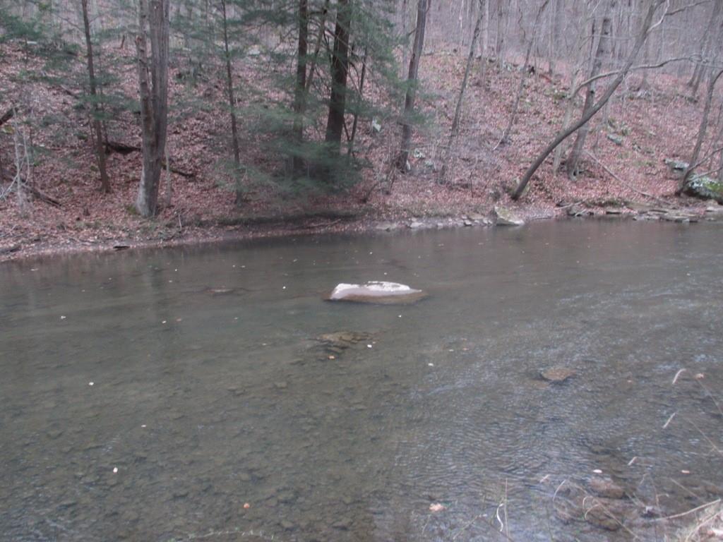 0 Four Mile Run Road Ligonier, PA 15658 - Photo 5 of 11 Gallery Image 5